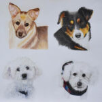 Adorable Coloured Pencil Dog Drawings – Learn To Draw And Color