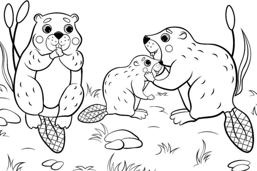 Animal Families Coloring Pages: Free & Fun Printable Coloring