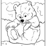 Bear Coloring Pages (% Free Printables)