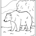 Bear Coloring Pages (% Free Printables)