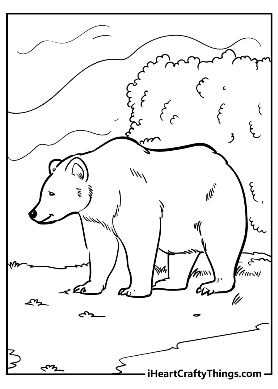 Bear Coloring Pages (% Free Printables)