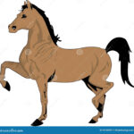 Beautiful Horse Drawing, Color Stock Vector – Illustration Of