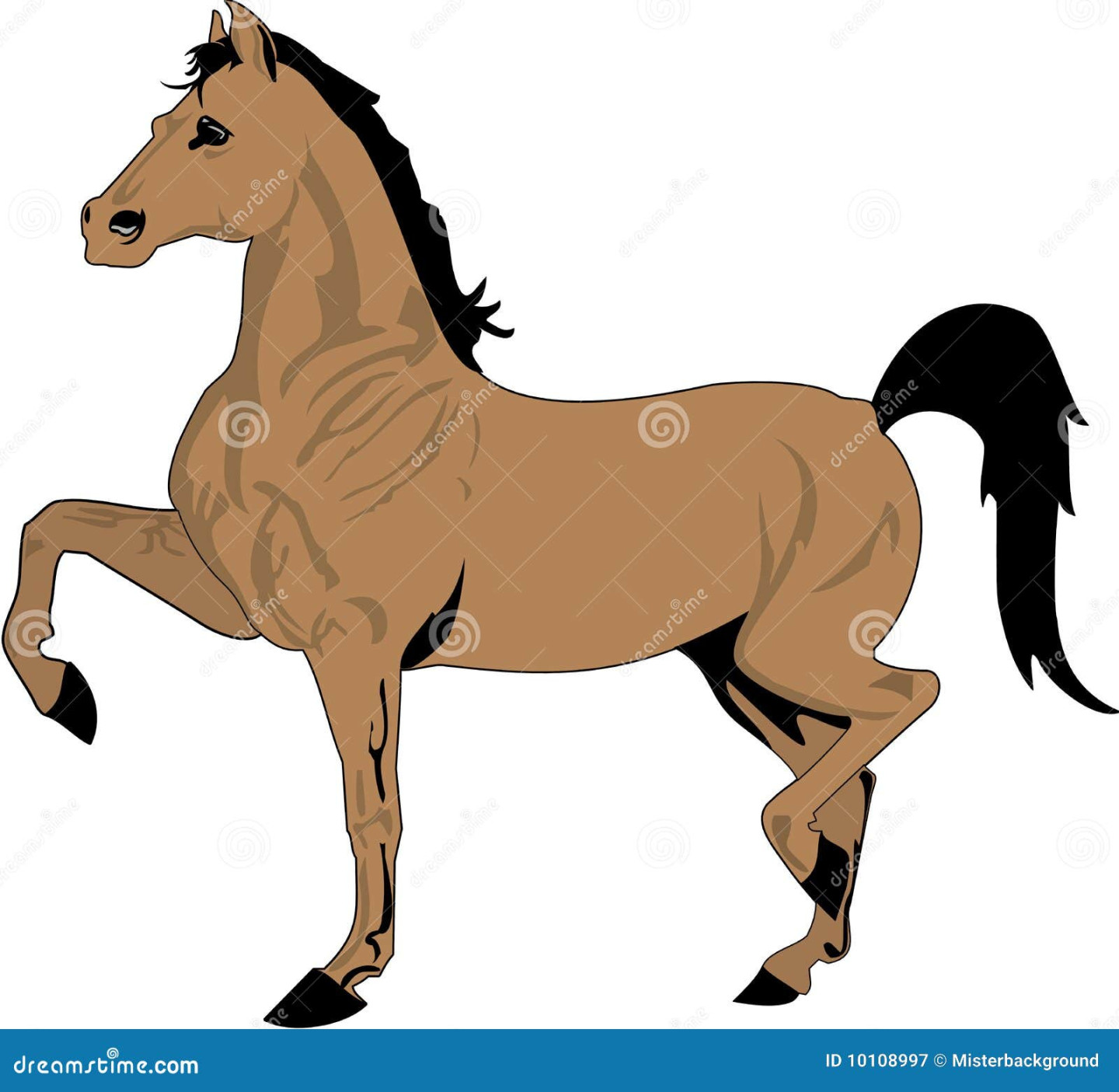 Beautiful Horse Drawing, Color Stock Vector - Illustration of