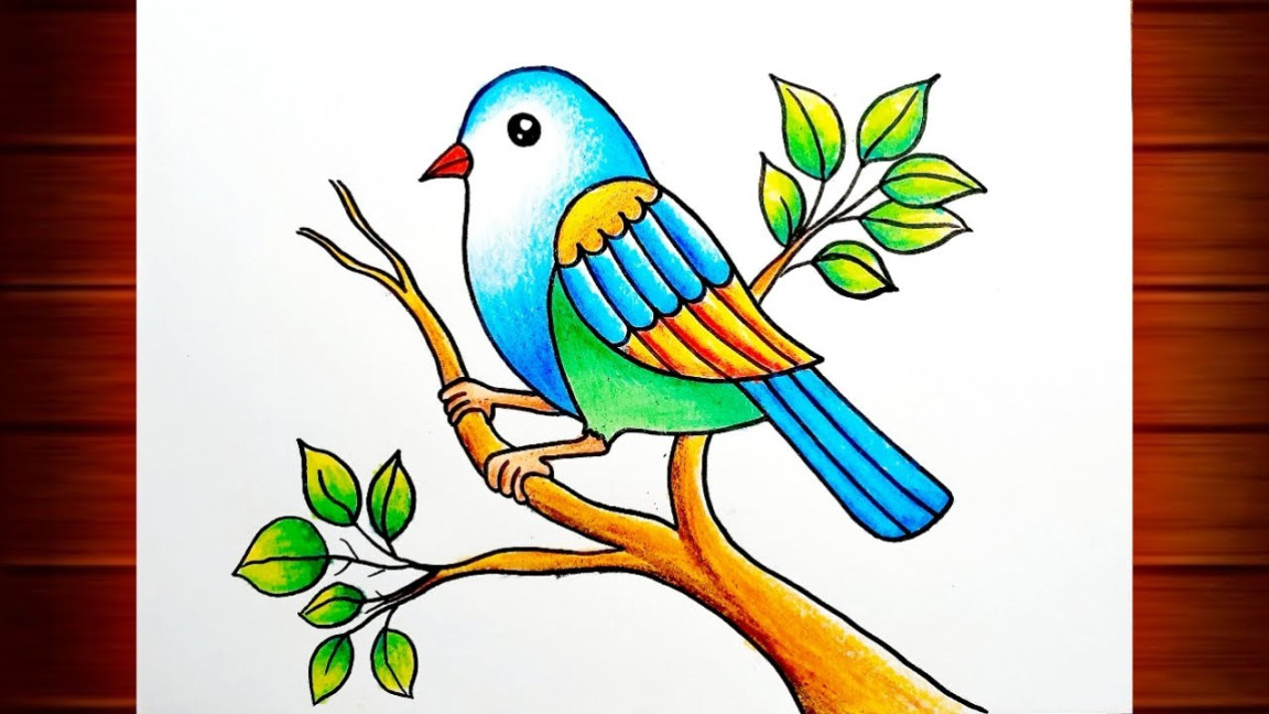 Bird Drawing for Beginners  Bird Scenery Drawing  Birds Drawing Colour   How to Draw Birds.