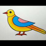 Bird Drawing For Beginners  How To Draw Bird Easy  Bird Drawing And  Colour Step By Step.