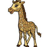 Cartoon Giraffe Drawing – How To Draw A Cartoon Giraffe Step By Step