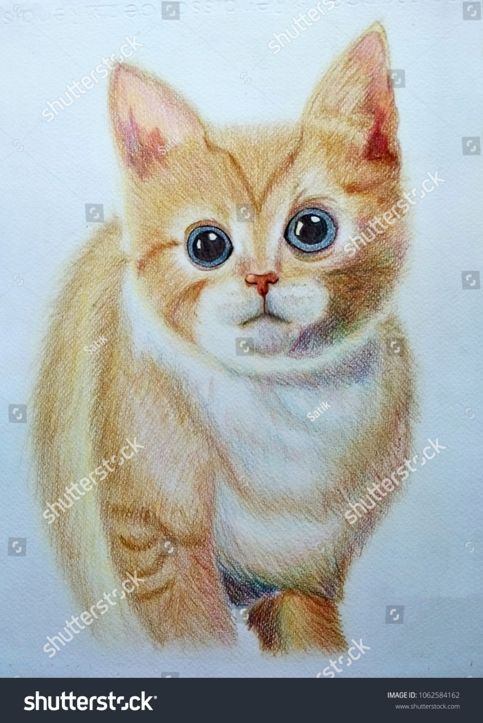 Cat Drawing Made By Color Pencil Stock Photo   Shutterstock