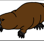 Clip Art: Platypus Color I Abcteach