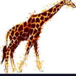 Colored Hand Drawing Giraffe Royalty Free Vector Image