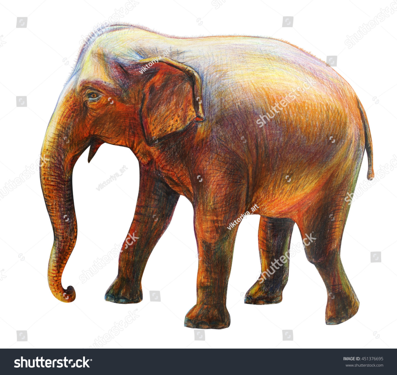 Colored Pencil Big Elephant Drawing Images, Stock Photos