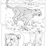 Coloring Book: Animals (A To I)