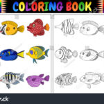 , Coloring Book Fish Images, Stock Photos & Vectors