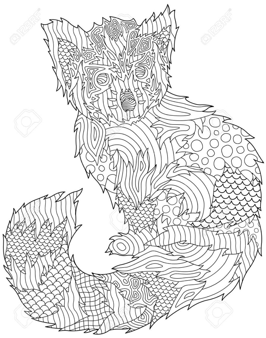 Coloring Book Page With Beautiful Red Panda On White Background