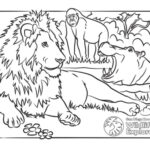 Coloring Page: Lion And Friends  San Diego Zoo Wildlife Explorers