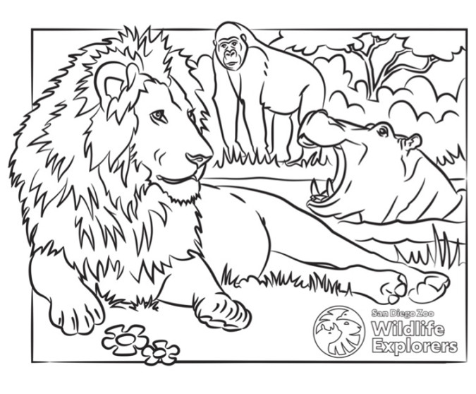 Coloring Page: Lion and Friends  San Diego Zoo Wildlife Explorers