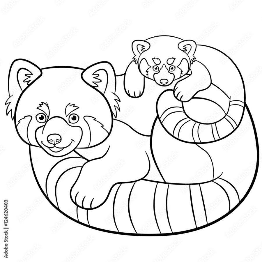 Coloring pages. Mother red panda with her baby