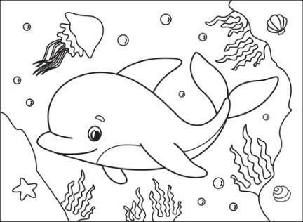 Dolphin coloring page  Free Printable Coloring Pages