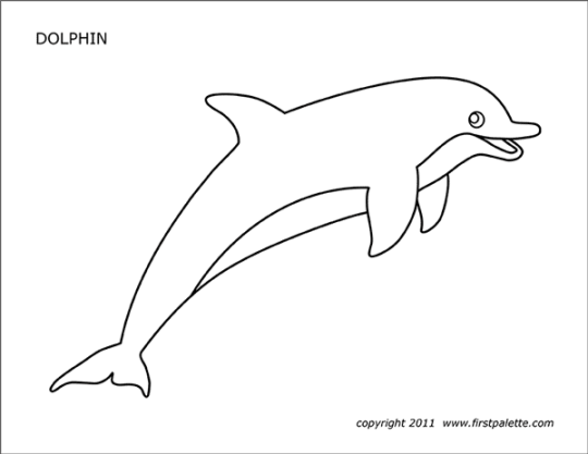 Dolphin  Free Printable Templates & Coloring Pages  FirstPalette