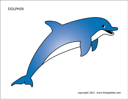 Dolphin  Free Printable Templates & Coloring Pages  FirstPalette