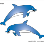 Dolphin  Free Printable Templates & Coloring Pages  FirstPalette