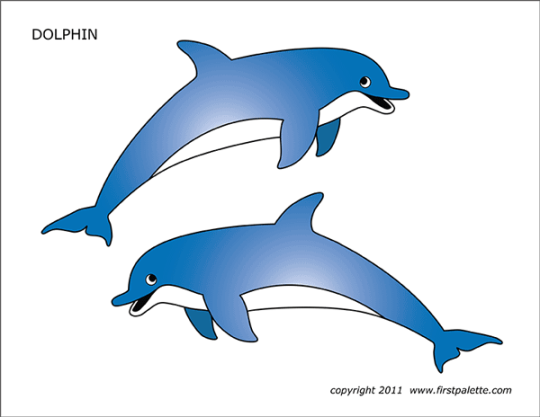 Dolphin  Free Printable Templates & Coloring Pages  FirstPalette