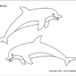 Dolphin  Free Printable Templates & Coloring Pages  FirstPalette