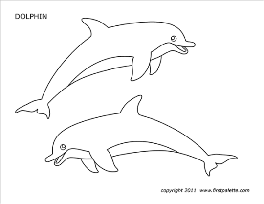 Dolphin  Free Printable Templates & Coloring Pages  FirstPalette