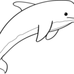 Dolphins Coloring Pages  Free Coloring Pages