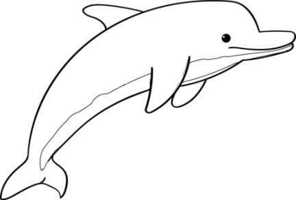 Dolphins coloring pages  Free Coloring Pages