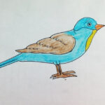 Draw Simple Bird For Beginners Easy Bird Drawing Class With Multi Colors