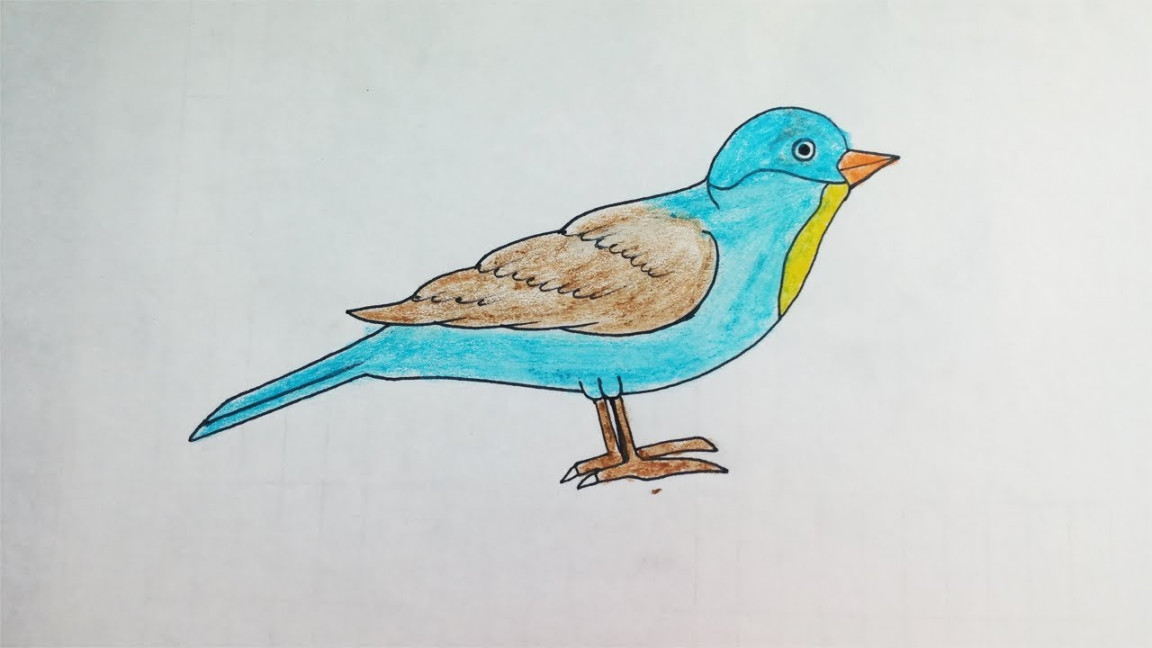 Draw simple bird for beginners Easy Bird drawing class with multi colors