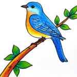 Easy Bird Drawing, How To Draw A Bird, Eastern Bluebird Drawing, Bird On  Tree Drawing