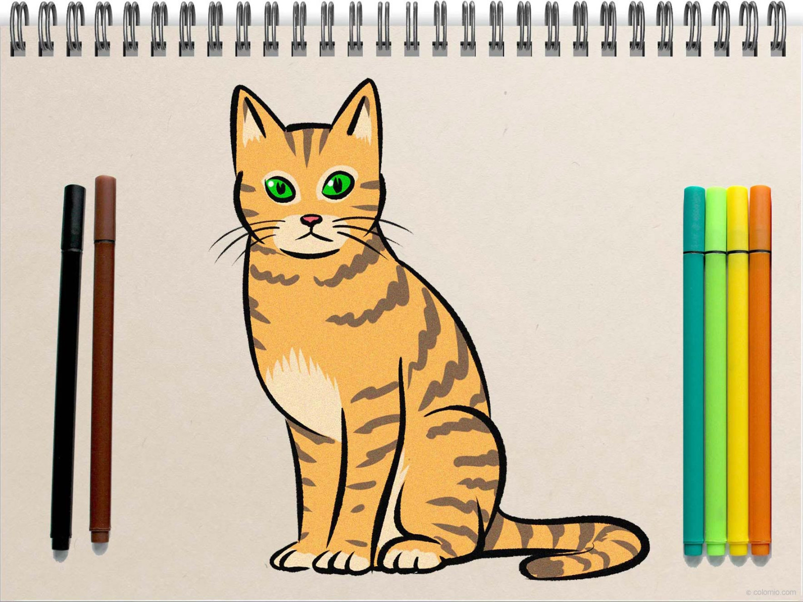 Easy Cat Drawing Ideas » How to draw a Cat Step by Step