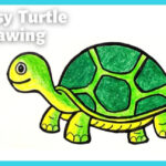 Easy Turtle Drawing And Coloring  Step By Step Simple Turtle Drawing  How  To Draw A Tortoise