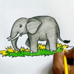 Elephant Drawing For Kids  Color Pencil Drawing For KidsHow To Draw  ElephantEasy Elephant Drawing