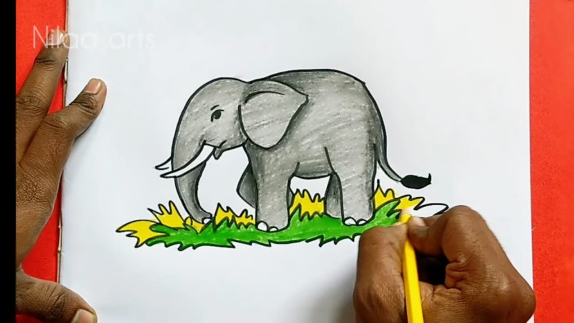 Elephant Drawing for kids  Color Pencil drawing for KidsHow to draw  elephantEasy Elephant drawing