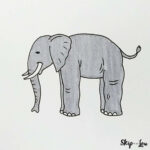 Elephant Drawing  Skip To My Lou