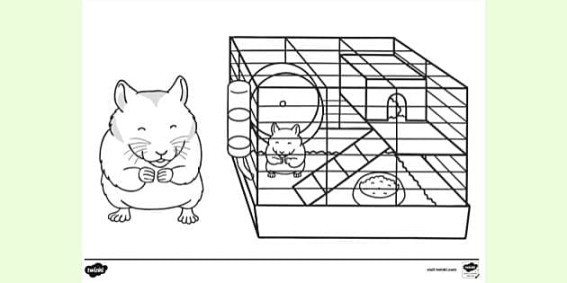 FREE! - Hamster Colouring  Colouring Sheets - Twinkl