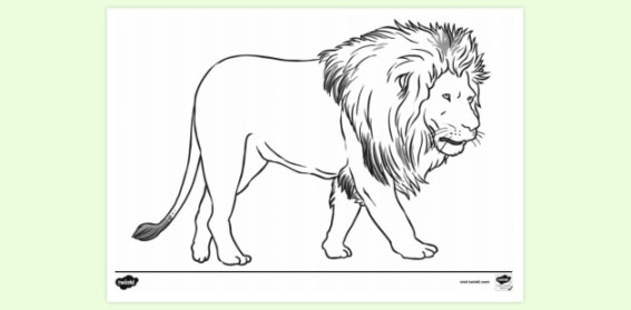 FREE! - Lion Colouring Sheet  Colouring Sheets - Twinkl