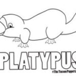 Free Platypus Coloring Page – The Tucson Puppet Lady