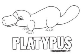 Free Platypus Coloring Page – The Tucson Puppet Lady