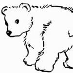 Free Printable Bear Coloring Pages For Kids