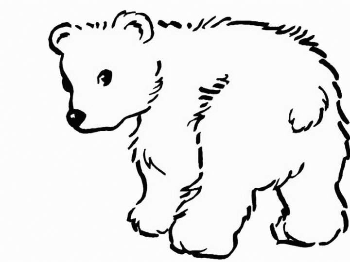 Free Printable Bear Coloring Pages For Kids