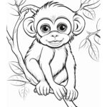 Free Printable Monkey Coloring Pages  Skip To My Lou