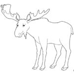 Free Printable Moose Coloring Pages  Skip To My Lou