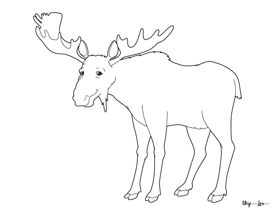 Free Printable Moose Coloring Pages  Skip To My Lou