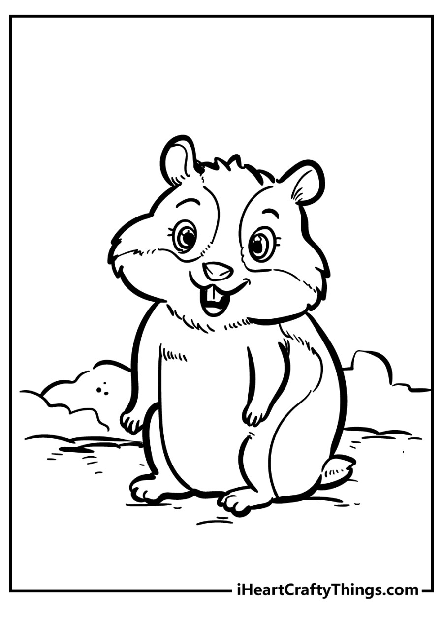 Hamster Coloring Pages (% Free Printables)