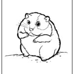 Hamster Coloring Pages (% Free Printables)