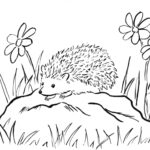 Hedgehog Coloring Page – Art Starts