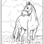 Horse Coloring Pages (% Free Printables)